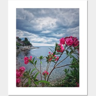 Nerium Oleander on the coastline Posters and Art